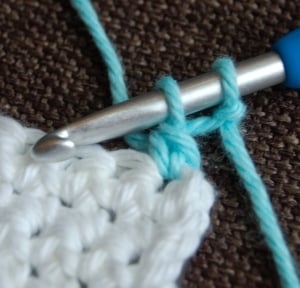 Join yarn with a standing double crochet in the first stitch.