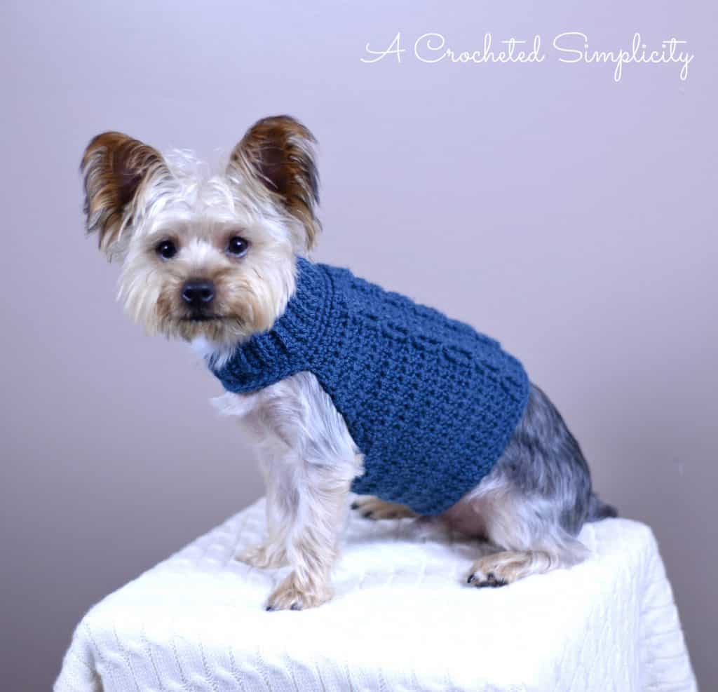 Free Crochet Pattern - Cabled Dog Sweater by A Crocheted Simplicity