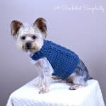 Yorkie sitting on cream blanket modeling blue cabled crochet dog sweater.