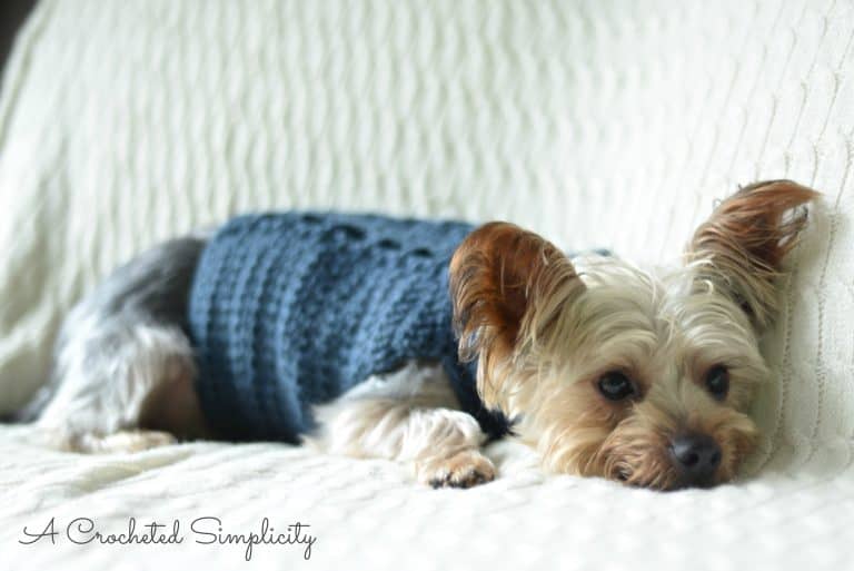 Free Charity Crochet Pattern: Cabled Dog Sweater