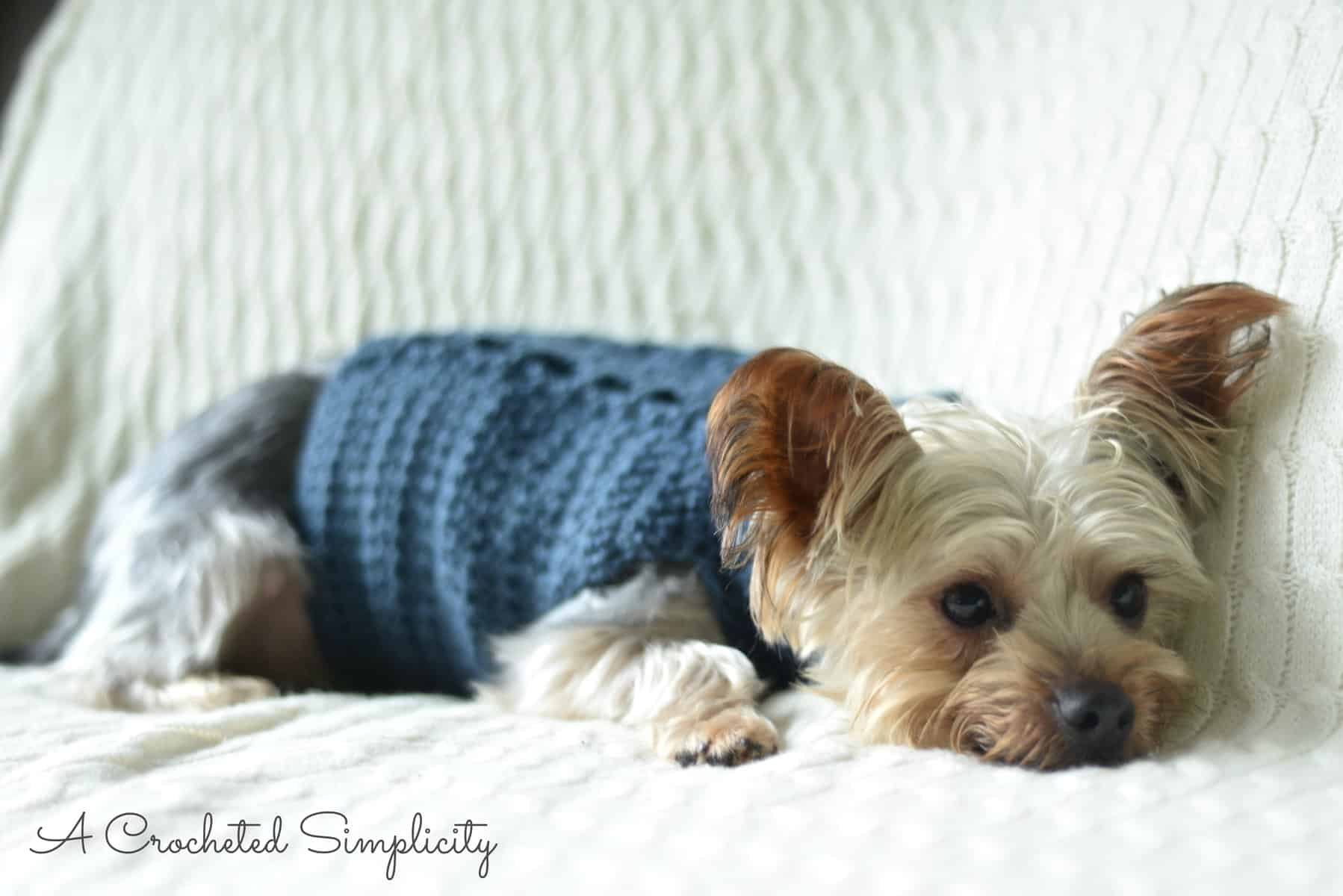 Free Crochet Dog Sweater Pattern: Keep Your Pup Cozy & Stylish!