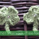 Free Crochet Pattern - Shamrock by The Stitchin' Mommy