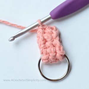 Mini-Mystery Crochet Along - Take 1, hosted by Jennifer Pionk of A Crocheted Simplicity Come join us for fun & prizes!