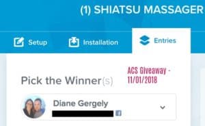 Shiatsu Massager Giveaway