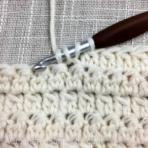 Learn to Crochet the 2 Double Crochet Cluster Stitch - Crochet Tutorial by A Crocheted Simplicity #crochetstitchtutorial #chainlesscrochetstitch #crochetclusterstitch #doublecrochetcluster #freecrochettutorial