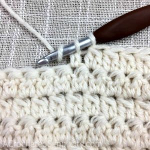 Learn to Crochet the 2 Double Crochet Cluster Stitch - Crochet Tutorial by A Crocheted Simplicity #crochetstitchtutorial #chainlesscrochetstitch #crochetclusterstitch #doublecrochetcluster #freecrochettutorial
