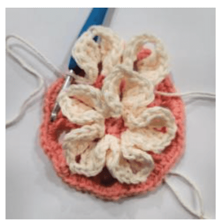 Bloom & Grow Crochet Kitchen Towel