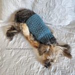 Yorkie wearing blue dog crochet sweater laying on a bed