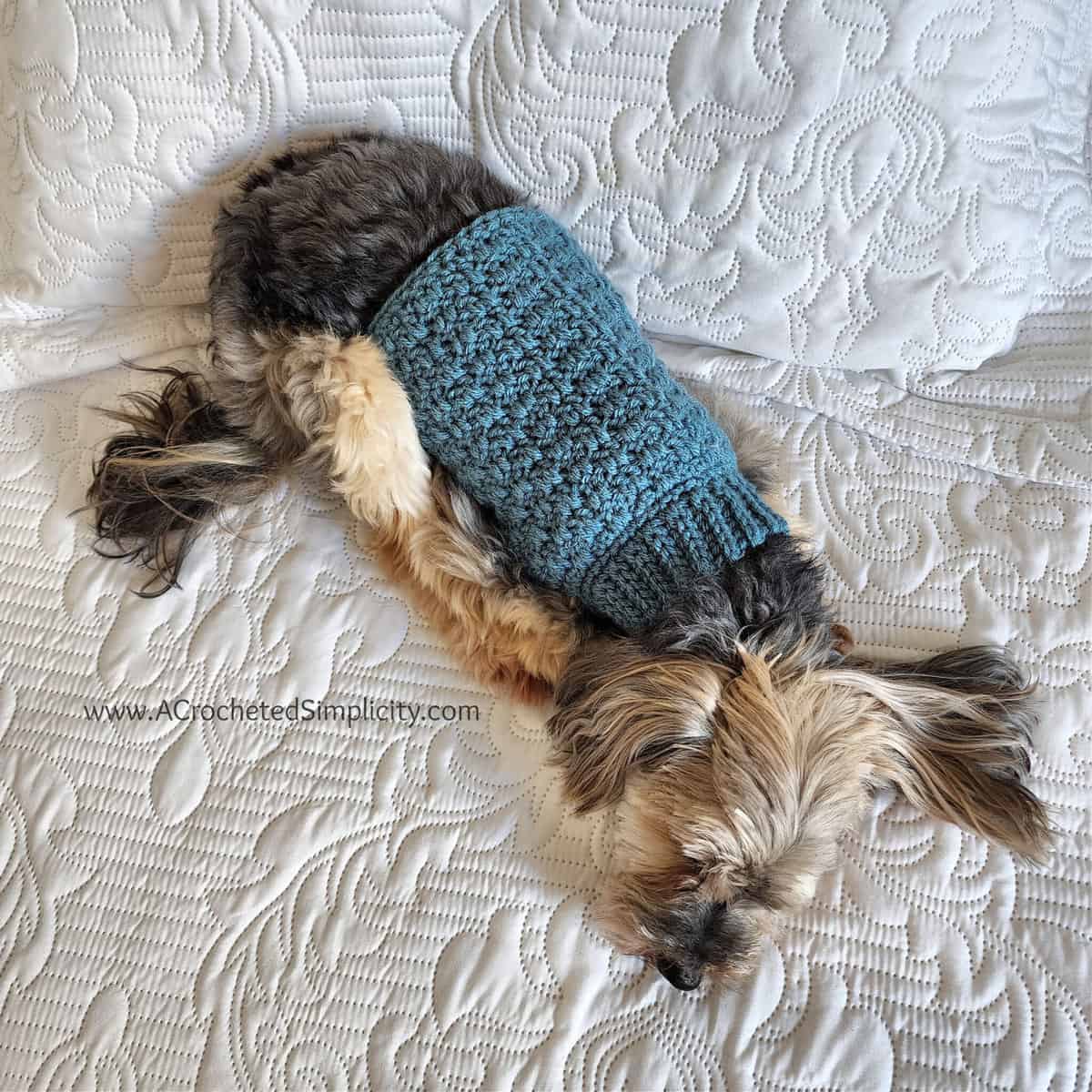 Free Charity Crochet Pattern Cabled Dog Sweater A Crocheted Simplicity