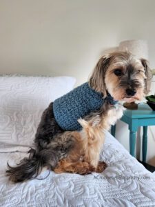 Free Crochet Dog Sweater Pattern - Chewy's Dog Sweater by A Crocheted Simplicity. #freecrochetpatternforpets #crochetforpets #crochetdogsweater #crochet #handmadedogsweater #crochetforpets #crochetfordogs #freecrochetpattern #dogsweaterpattern #handmadecrochet