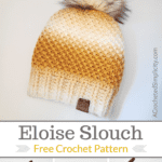 Bulky Crochet Hat Pattern Free Pinterest Image 2