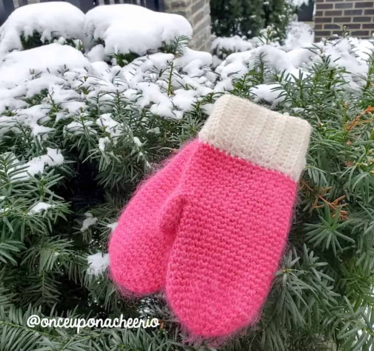 Pink crochet mittens with white cuffs laying on a snowy evergreen bush.