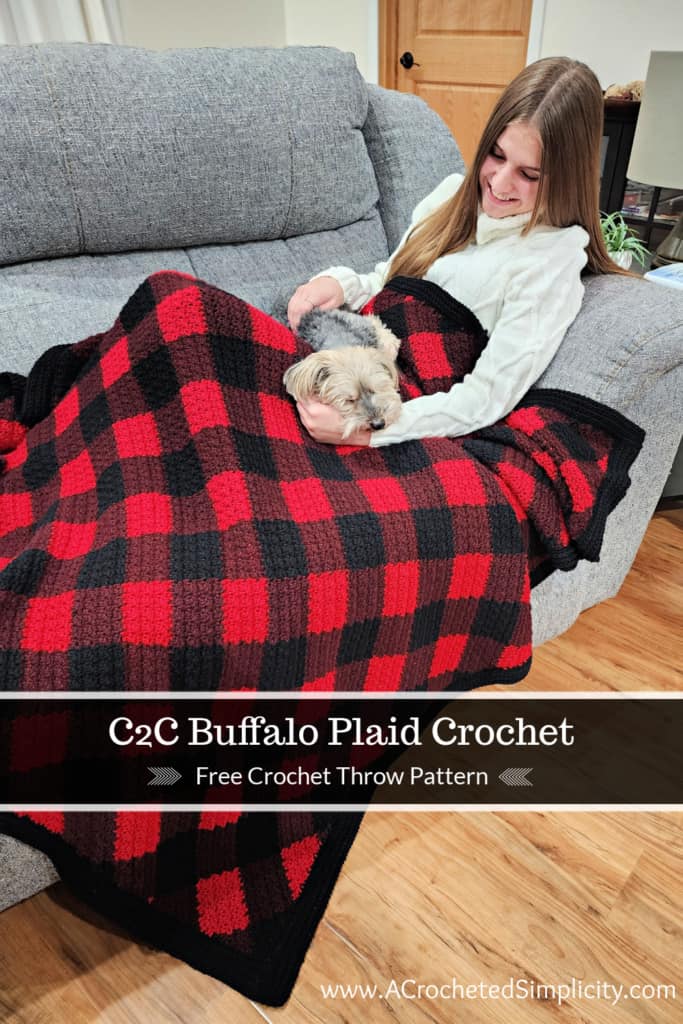 Young girl sitting with small yorkie on couch covered with buffalo plaid crochet blanket.