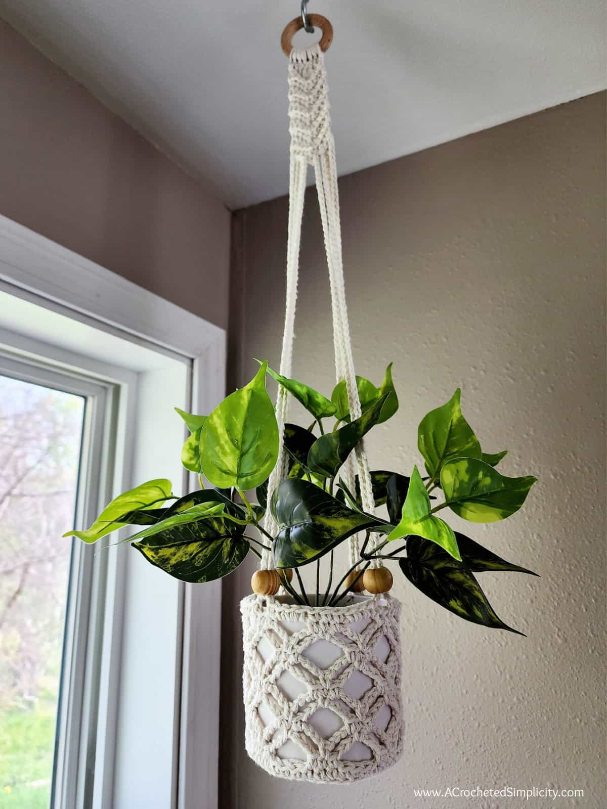 Small ecru crochet plant hanger in window holding potted plant.