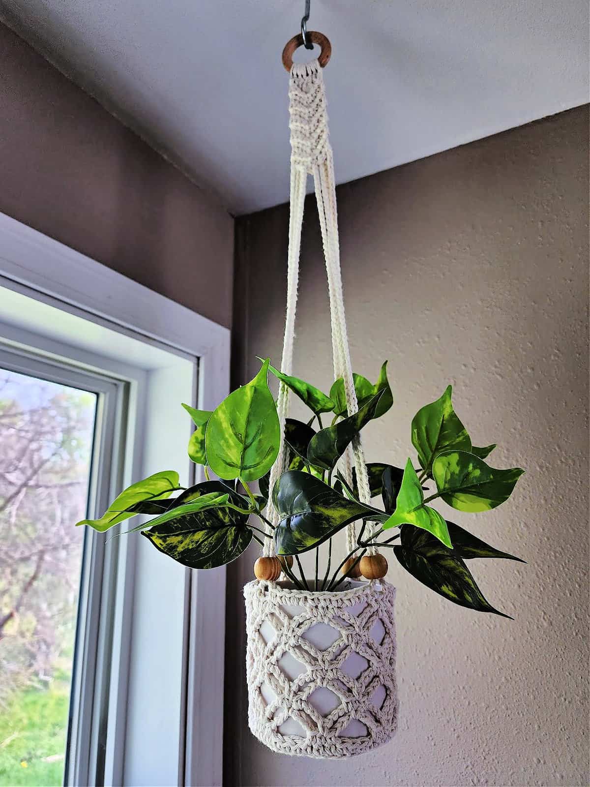 Small ecru crochet plant hanger in window holding potted plant.