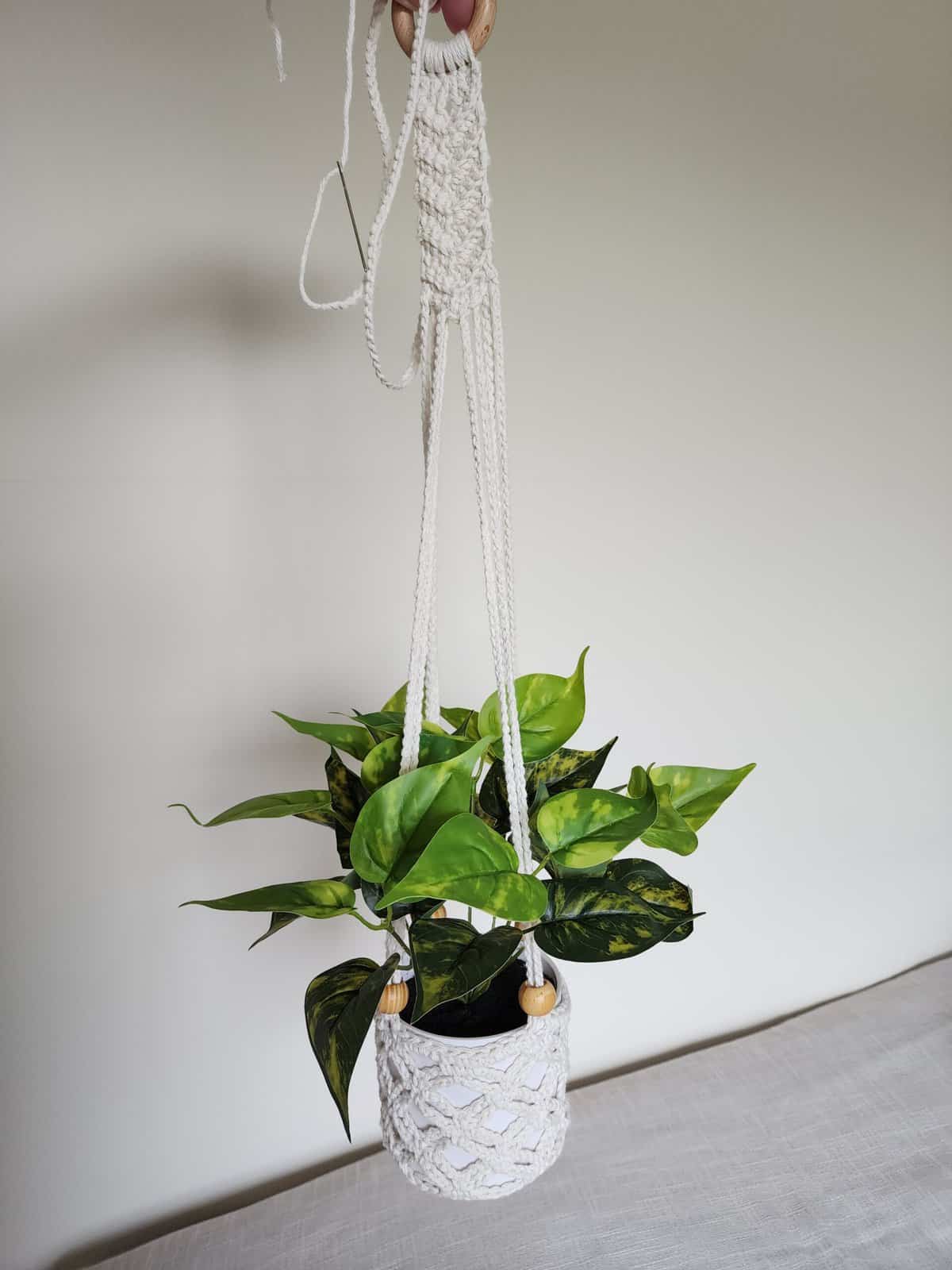 Small green plant in crochet plant hanger being held by hand to adjust hanging straps.