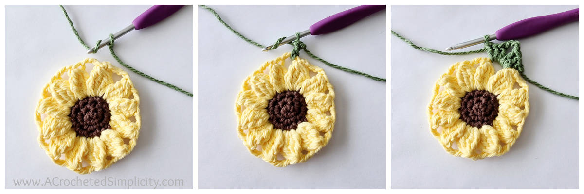 Photos to show how to add a border to the crochet sunflower motif.