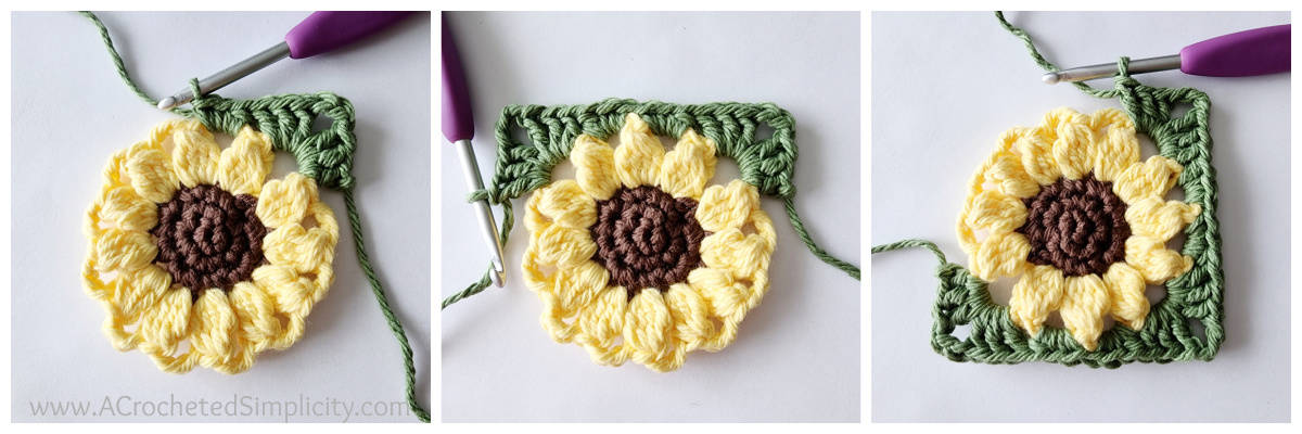 Photos to show how to add a border to the sunflower crochet motif.