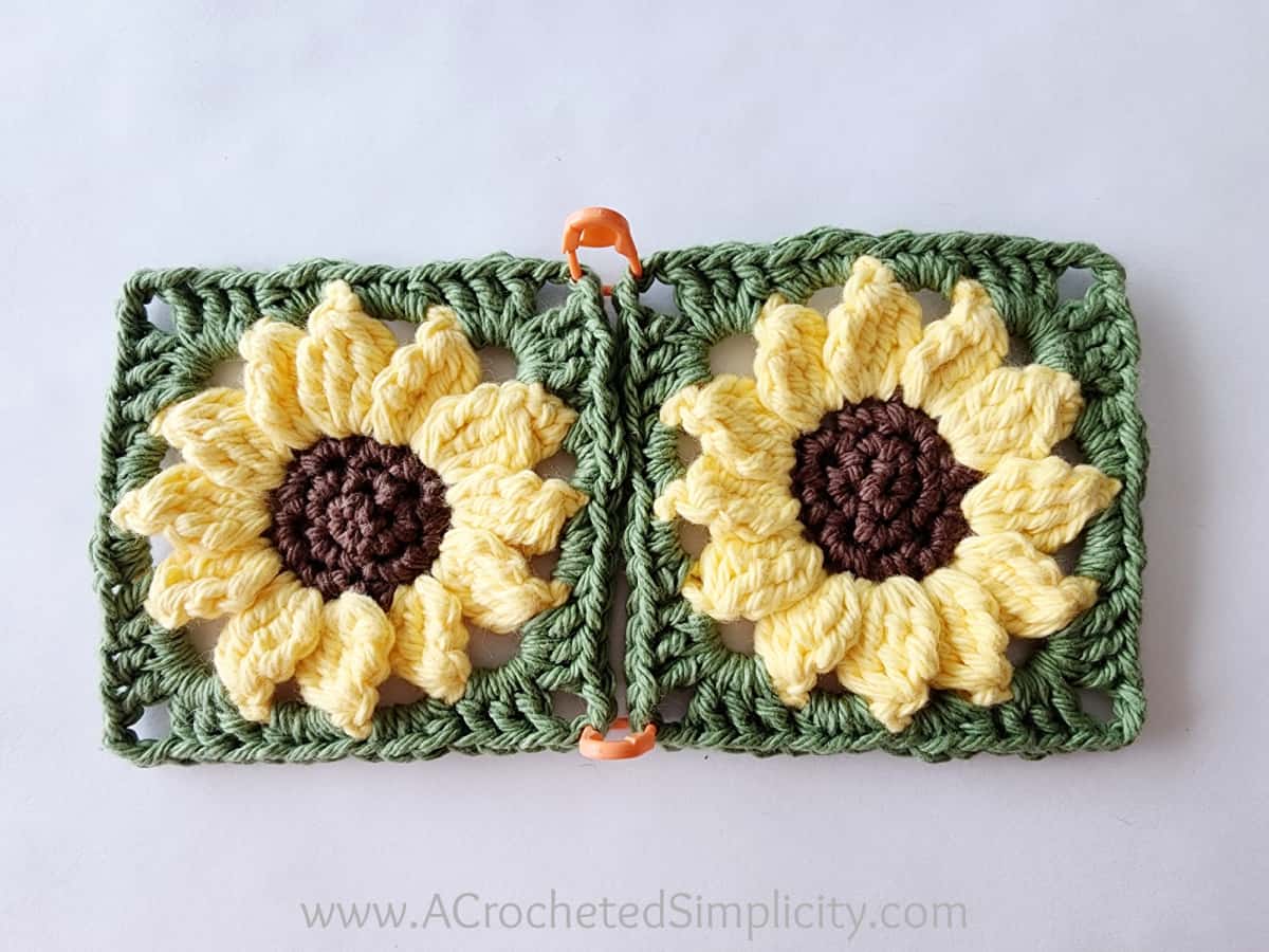 Two yellow and green sunflowers squares held together with stitch markers at two corners.