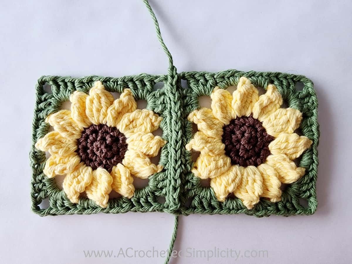 Two crochet sunflower motifs joined with a flat slip stitch and laying on a white surface.
