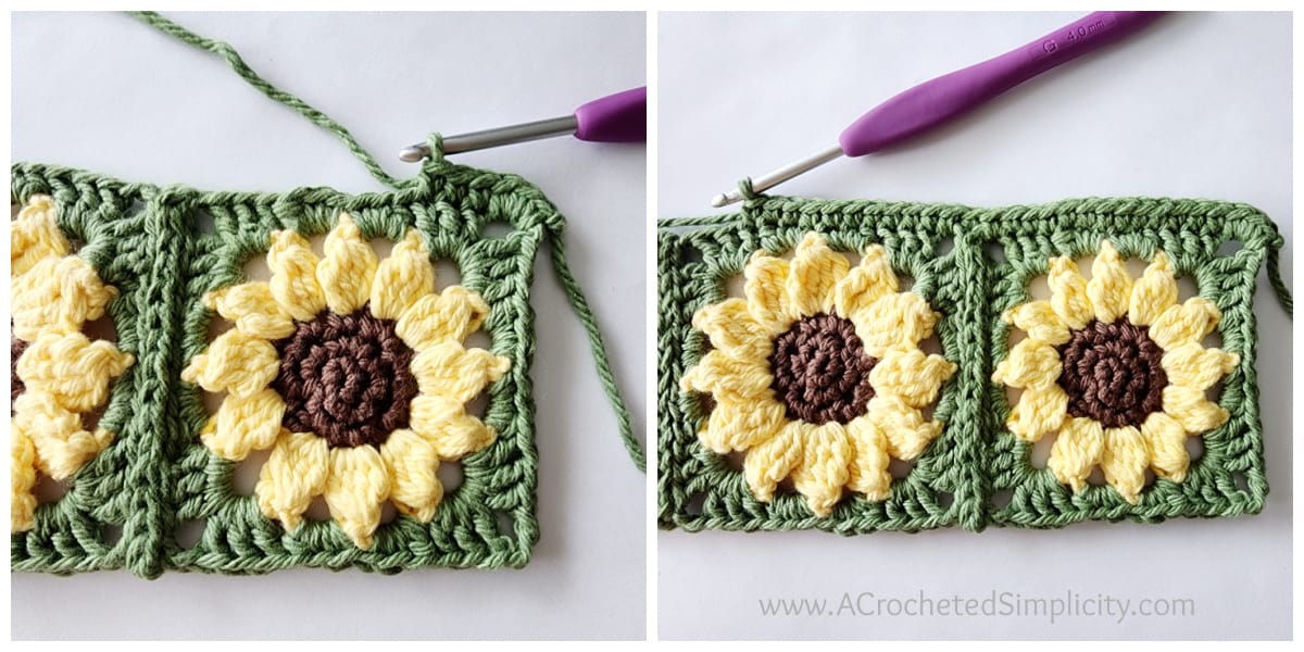 Crochet sunflower in a square being edged with a single crochet and purple crochet hook.