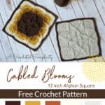 Pinterest image of two cabled afghan squares