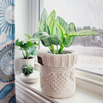 Cream color crochet plant pot cover with a potted plant sitting on a windowsill with blue curtain.
