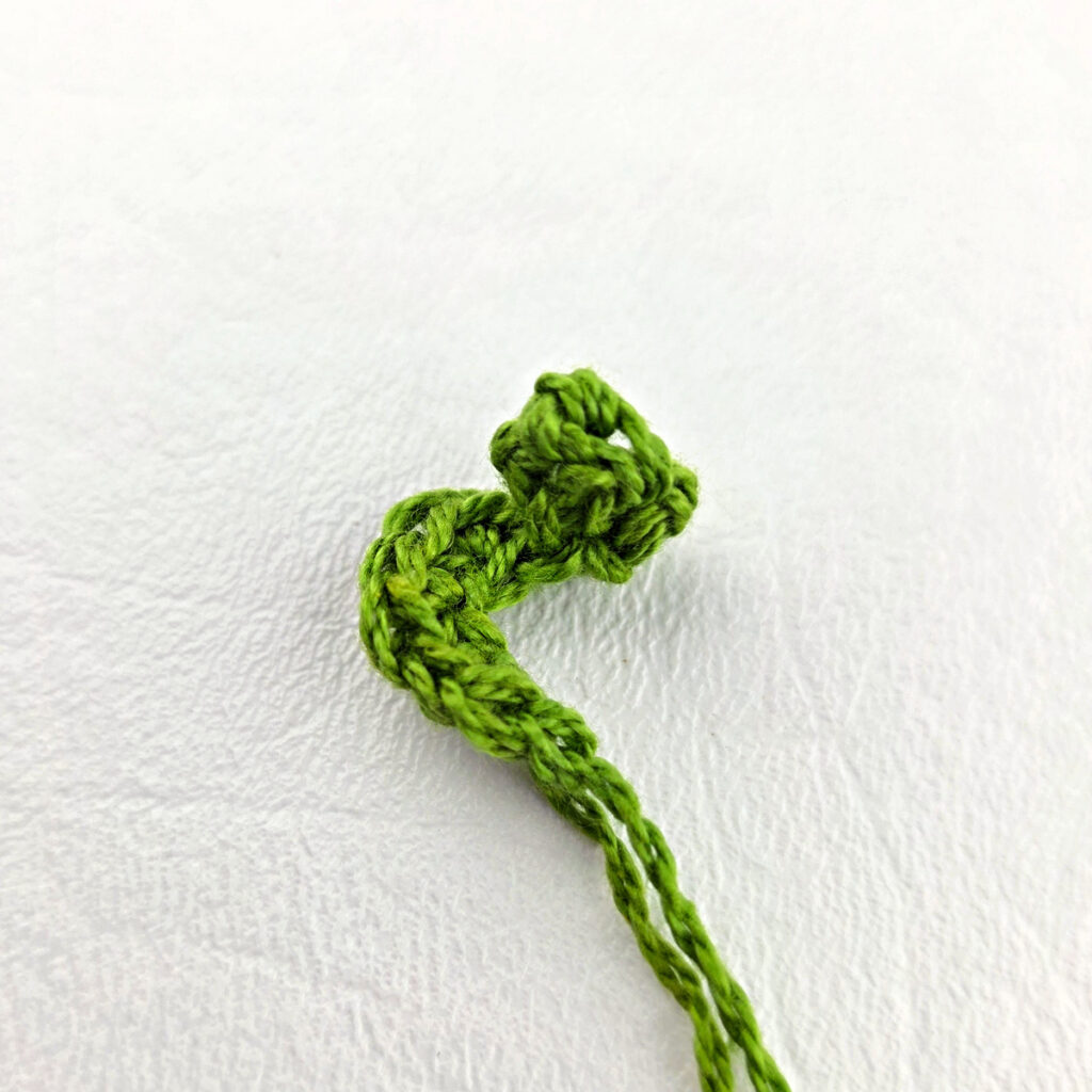 A small green pumpkin tendril.