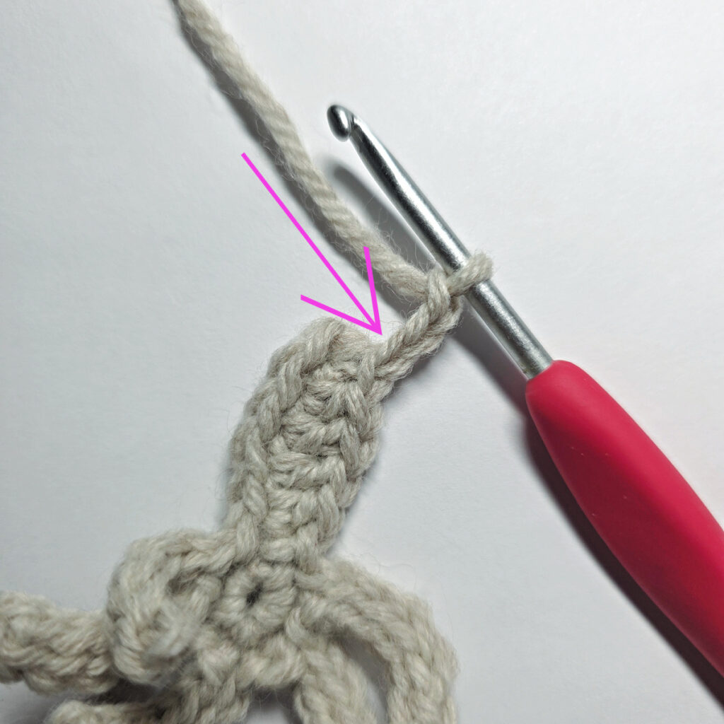 Crocheting the tip of a poinsettia bract and a pink arrow pointing to the chain to work into.